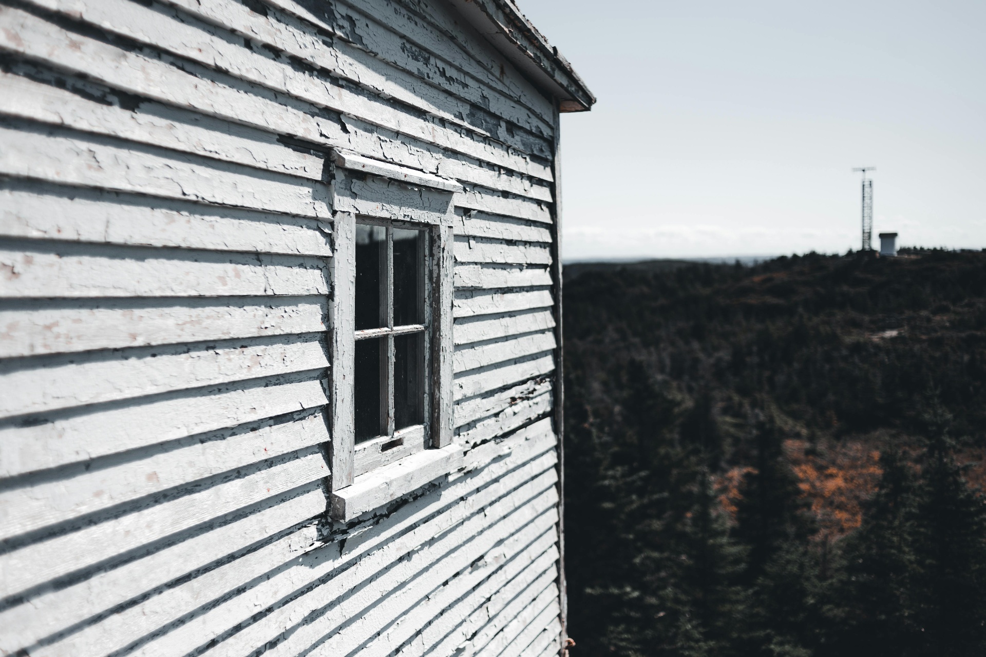 Siding Repair